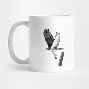 Red-tailed Hawk - B&W Mug